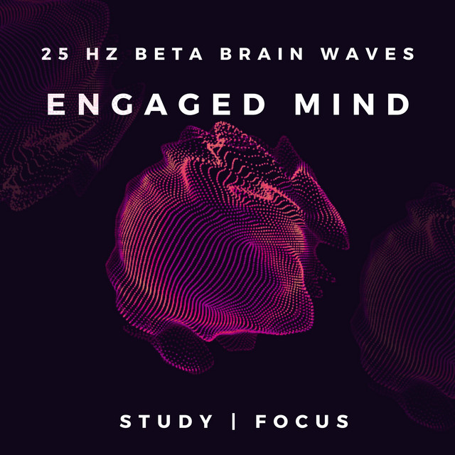 25Hz Engaged Mind cover art