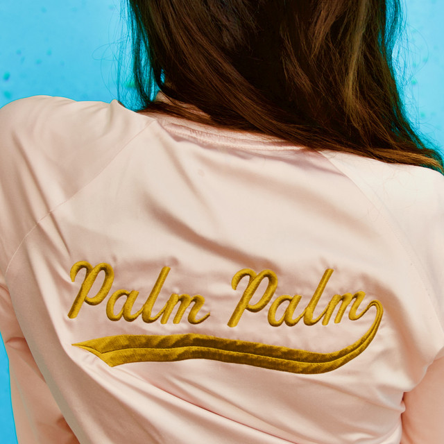Palm Palm cover art