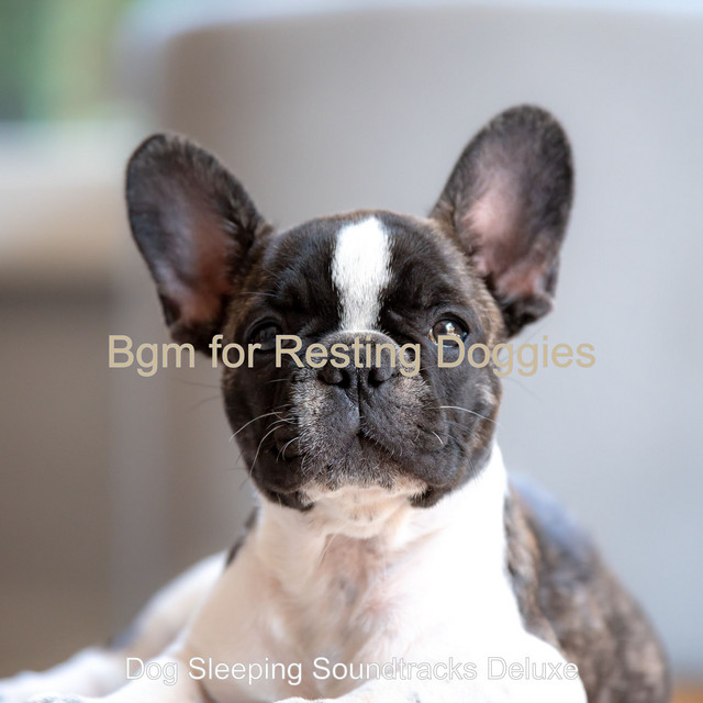 Bgm for Resting Doggies cover art