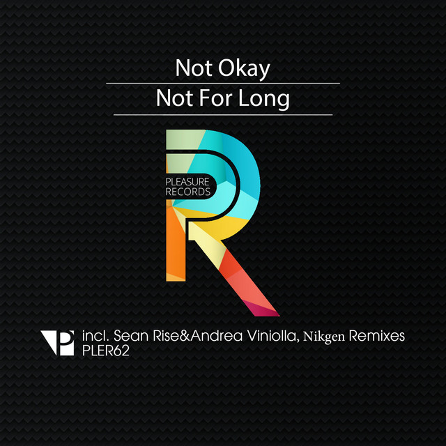 Not for Long - Sean Rise & Andrea Viniolla Remix cover art
