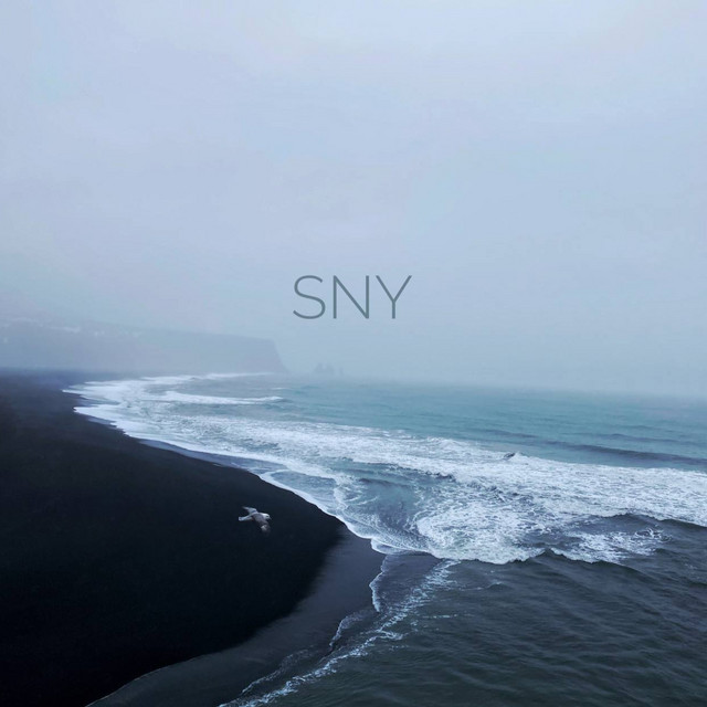 Обкладинка: Sny — Matvienko Simon