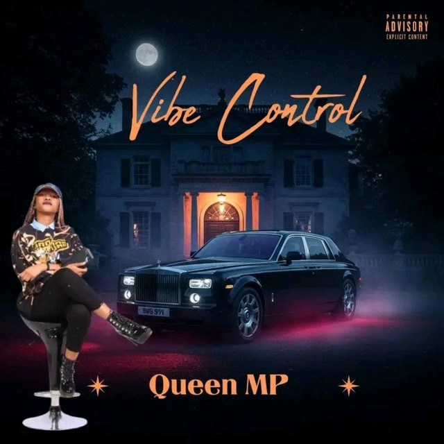 Vibe Controller cover