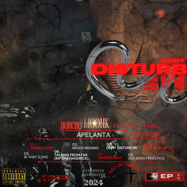 DONT DISTURB ME cover art