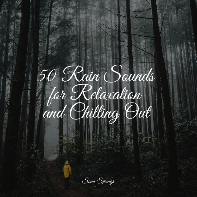 50 Rain Sounds for Relaxation and Chilling Out - Album by The White ...
