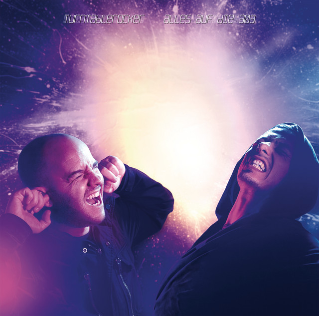 Alles auf die 303 - Radio Edit cover art