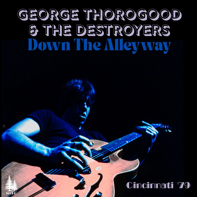 Down The Alleyway (Live Cincinnati '79) cover art