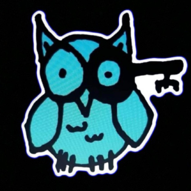Owl Key cover art