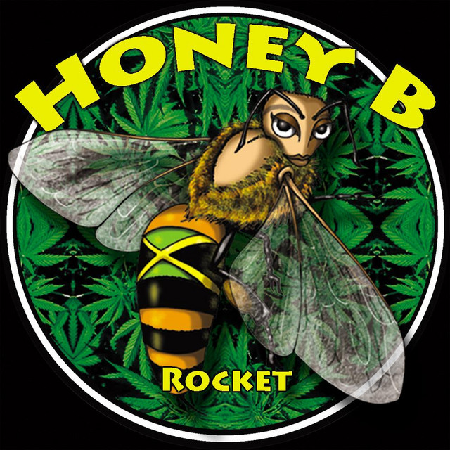 Rocket cover