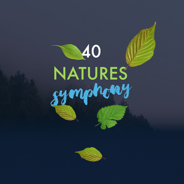 40 Natures Symphony - Album by Nature Sounds | Spotify