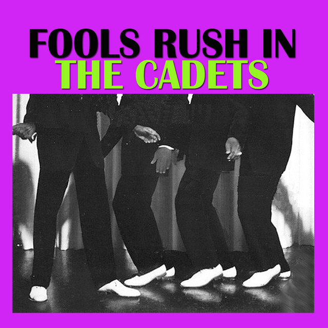 Fools Rush In cover art
