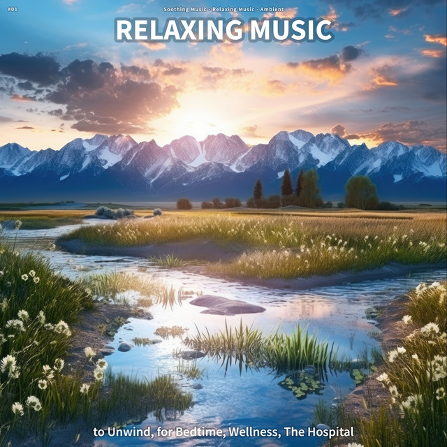 #01 Relaxing Music to Unwind, for Bedtime, Wellness, The Hospital cover art