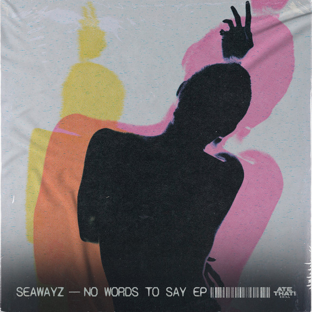 No Words To Say cover art