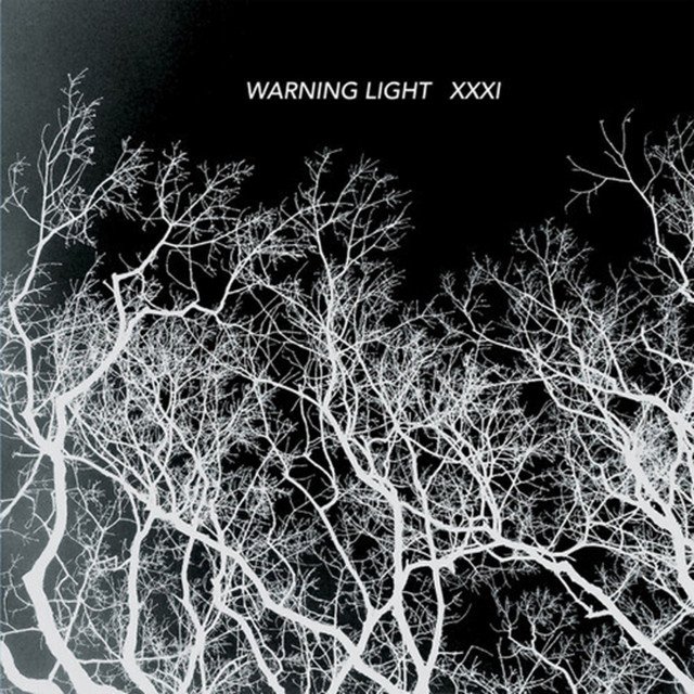Warning Light Photo
