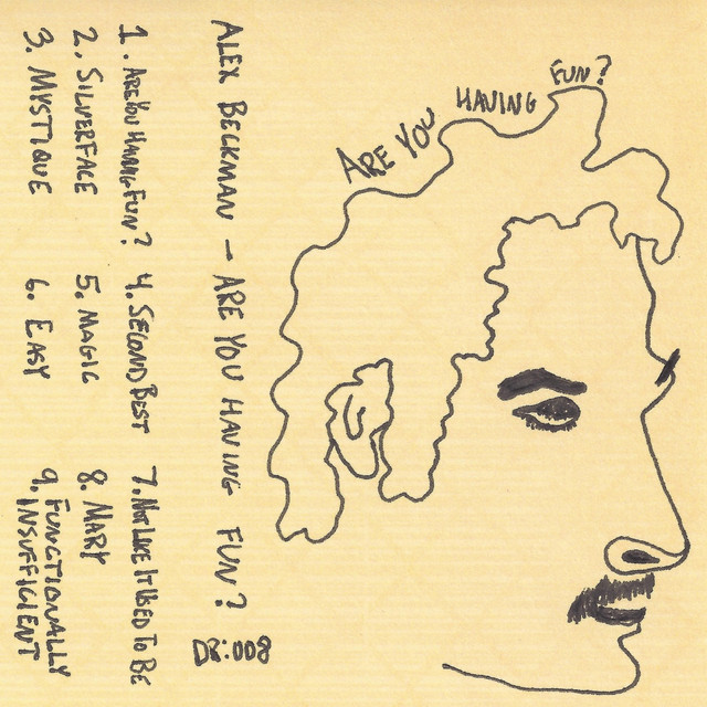 Are You Having Fun? cover art