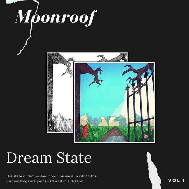 Dream State (Deluxe Version) cover art