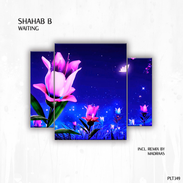 Shahab B