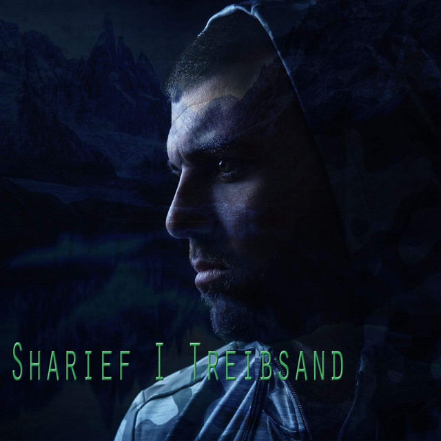 Treibsand - Single by Sharief | Spotify