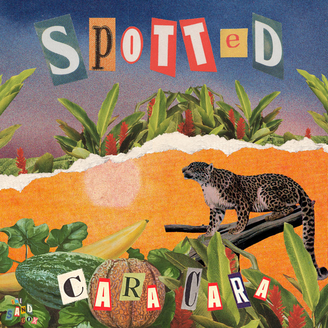 Spotted cover