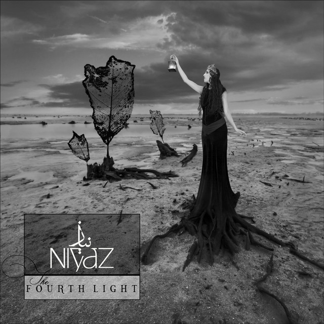 The Fourth Light cover art