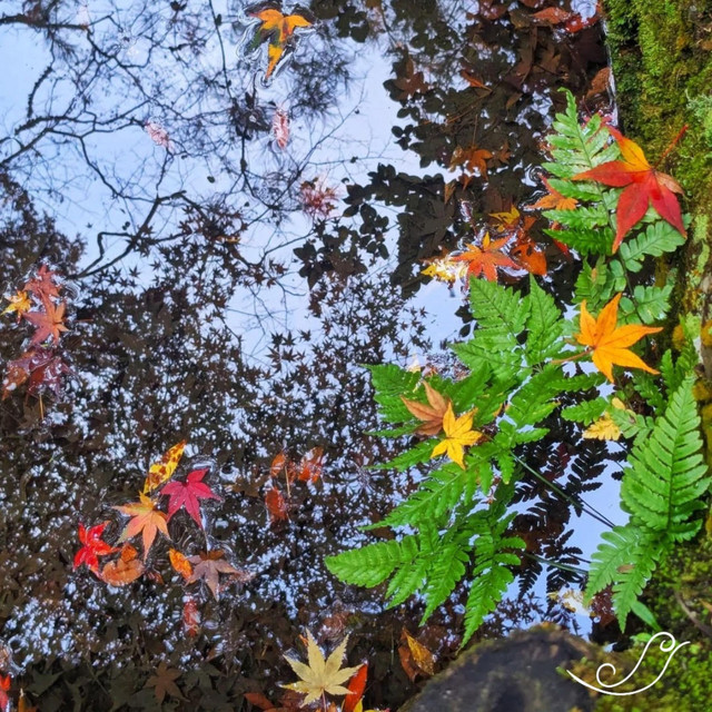 Ancient Nature