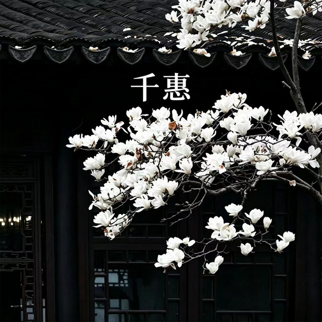 玉蝉yusician
