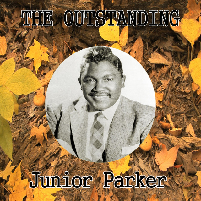 The Outstanding Junior Parker cover art