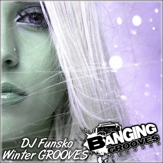 Winter Grooves cover art