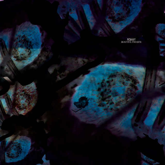 Beautiful Parasite cover art