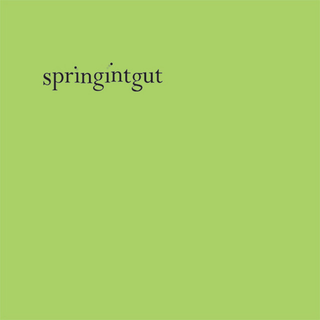 Springintgut cover art