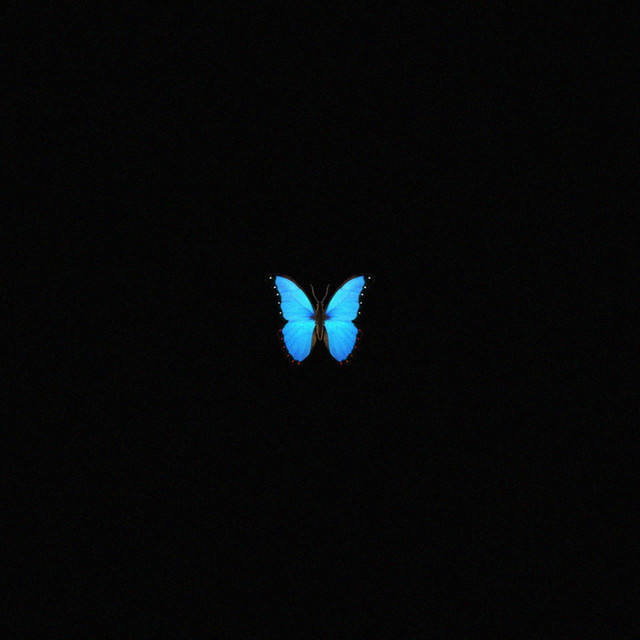 otantik cover art