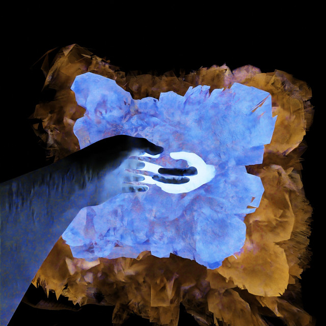 Fleeting cover art