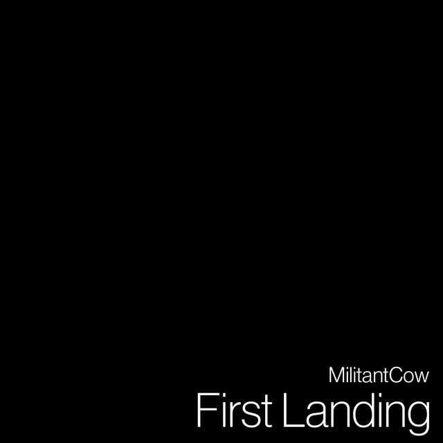 First Landing