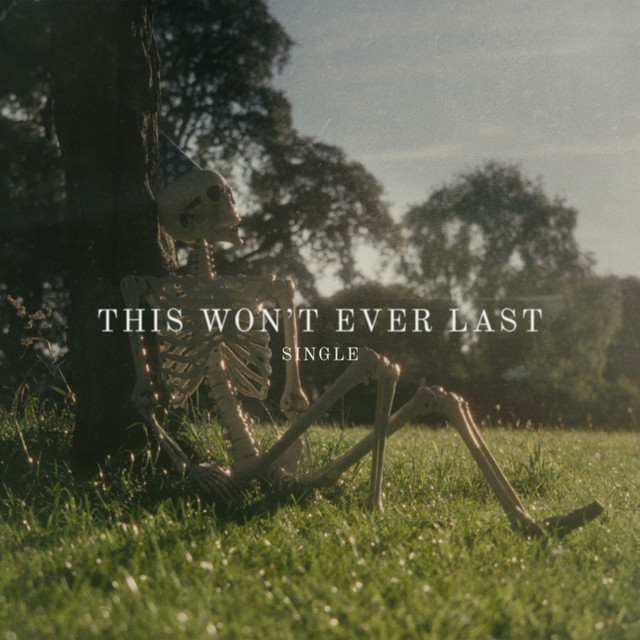 This Won't Ever Last cover art