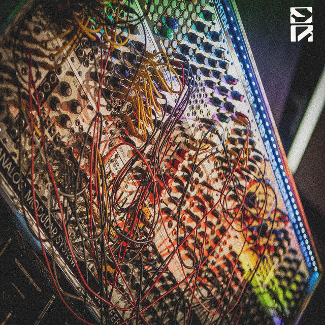 Analog Order cover art