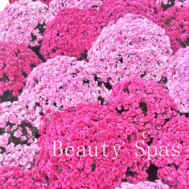 Beauty Spas cover art