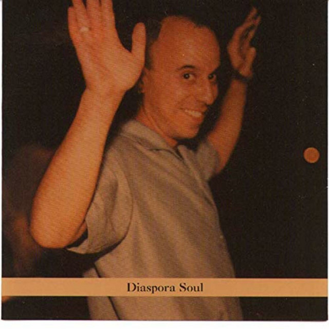 Diaspora Soul cover art