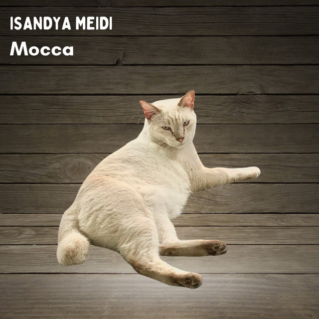 Mocca cover art