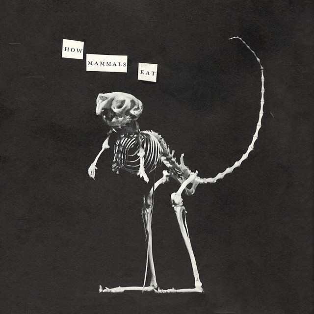 How Mammals Eat cover art