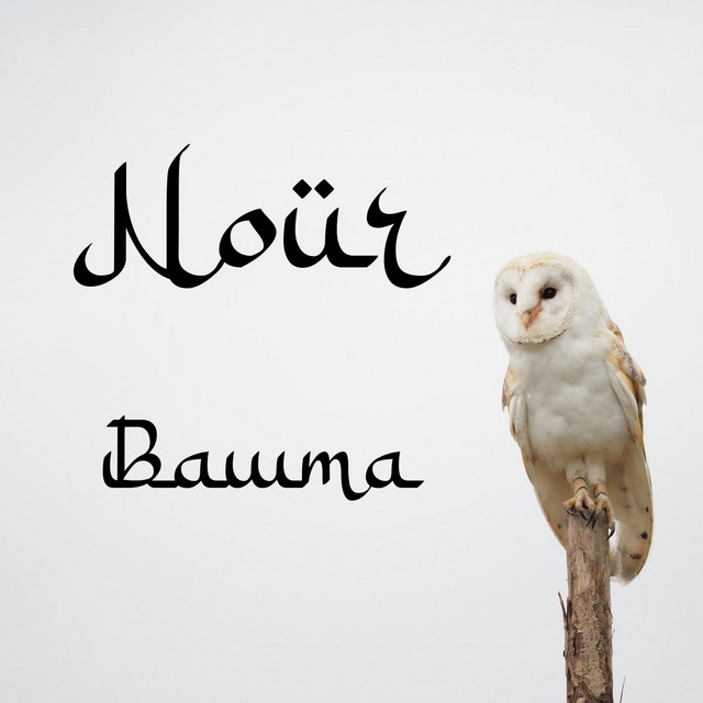Bawma cover art