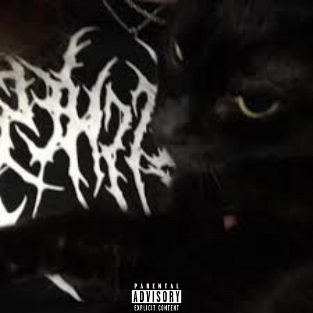 Next Chapter cover art