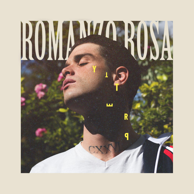 Romanzo Rosa cover