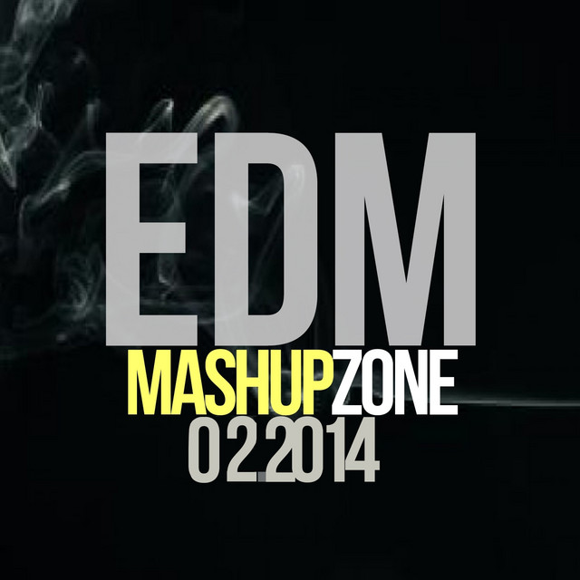 EDM Mashup Zone 02.2014 (Mashup Remix) cover art