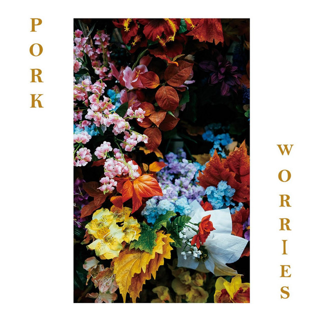 Worries cover art