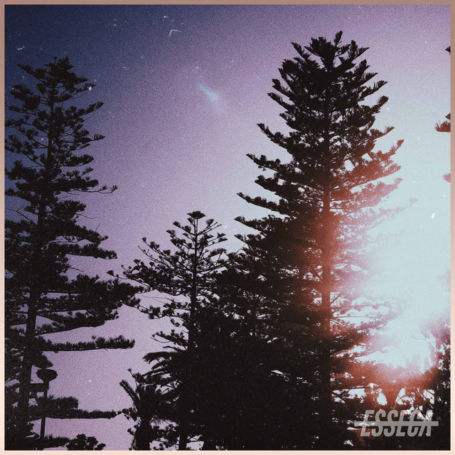 Dulo cover art
