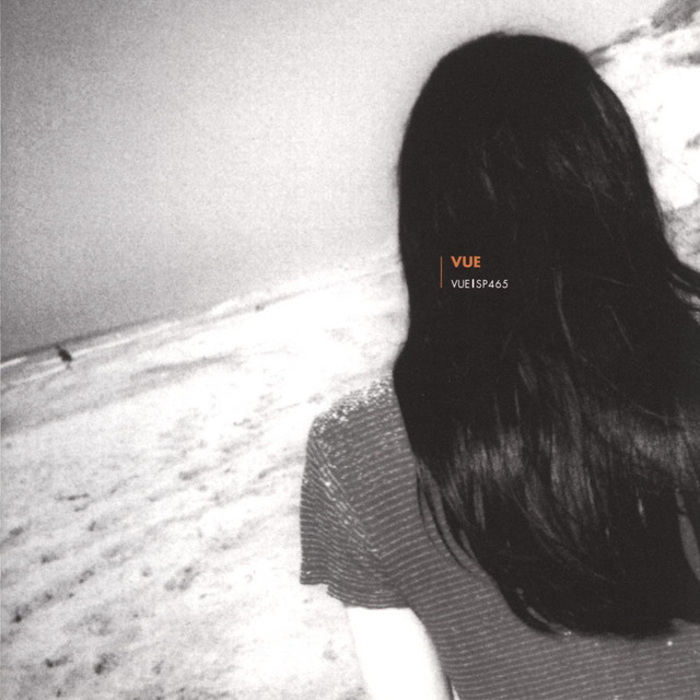 Vue cover art