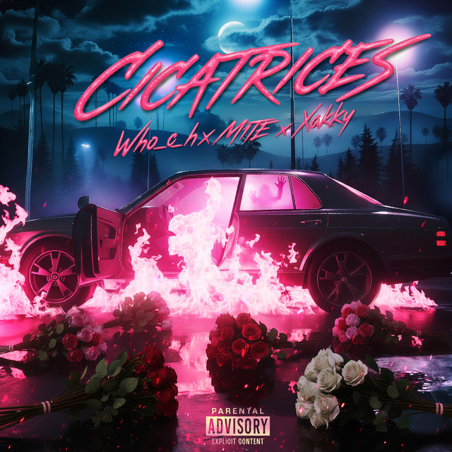 Cicatrices