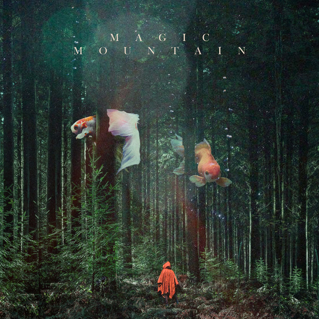 Magic Mountain cover