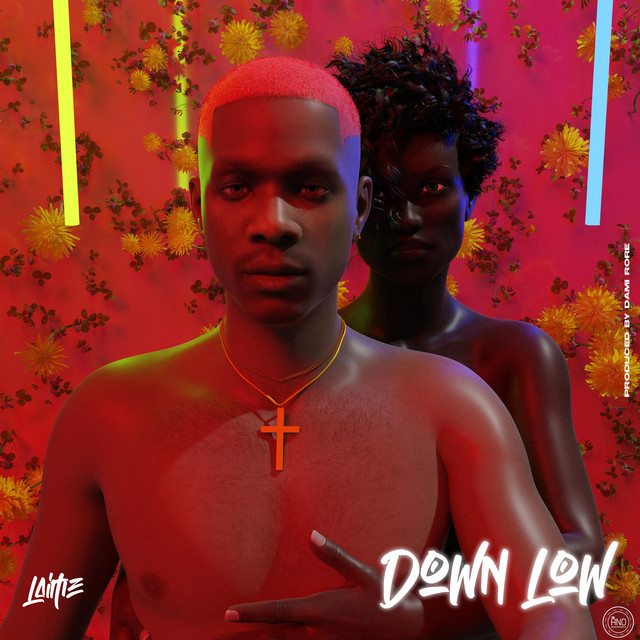 Down Low cover art