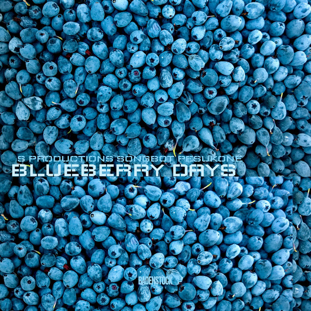 Blueberry Days - Slowed