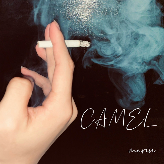 CAMEL cover art